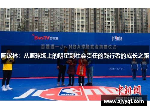 陶汉林：从篮球场上的明星到社会责任的践行者的成长之路